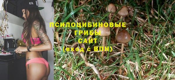 винт Богородицк