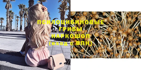 винт Богородицк