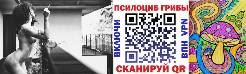 купить закладку  мега маркетплейс  Галлюциногенные грибы мицелий  Белорецк 